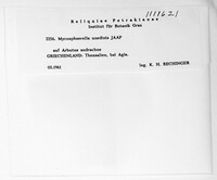 Image Associated With the Occurrence